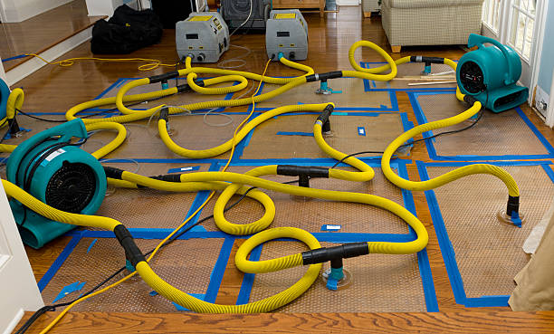 Professional Flood Damage Restoration technician working in Saint Charles, IL